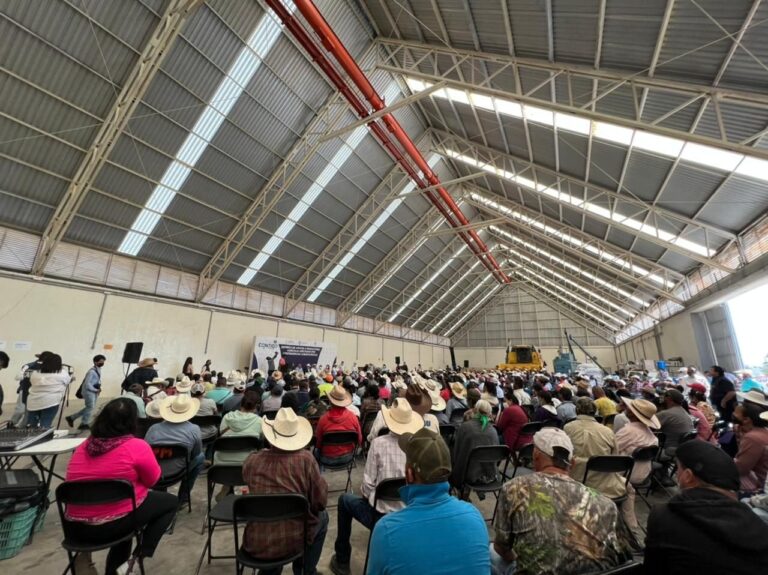 Entrega SEDEA 151 toneladas de maíz a productores agrícolas de Huimilpan