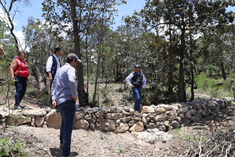 Supervisa SEDEA restauración Integral de Suelos Forestales en Ejido Perales