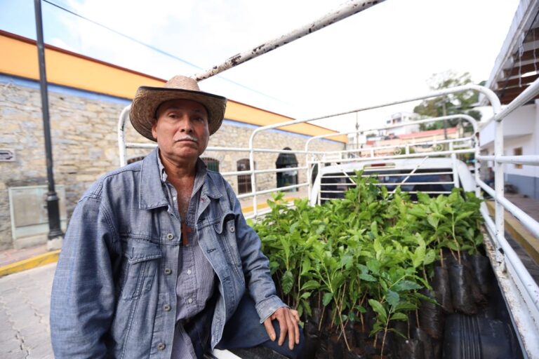 Impulsa SEDEA la producción de café en la Sierra Gorda