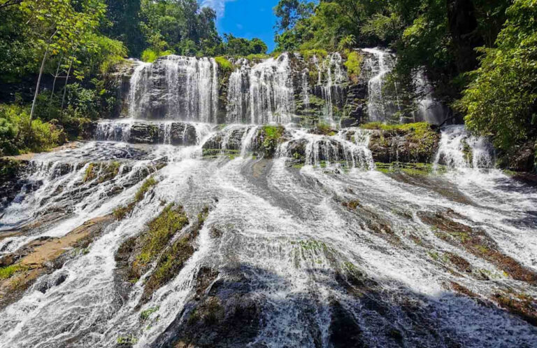 El desarrollo económico no vale de nada si no salvamos el planeta, el mensaje de una alcaldesa de Costa Rica