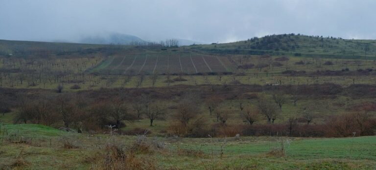 Expertos instan a Azerbaiyán a levantar el bloqueo de un corredor vital para detener la crisis humanitaria en Nagorno-Karabaj