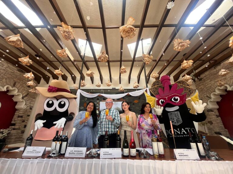 Anuncian Temporada de Vendimias en Viñedos Donato