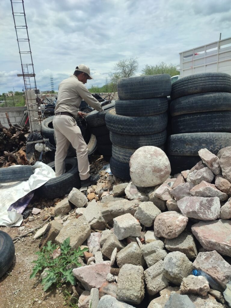 Realiza SESA vigilancia epidemiológica de dengue