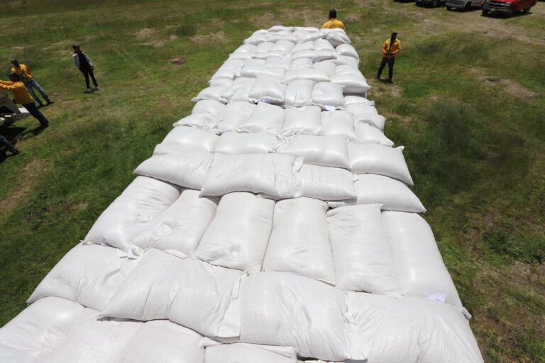 Arranca SEDEA dispersión de semilla para cultivos forrajeros en Amealco y Huimilpan