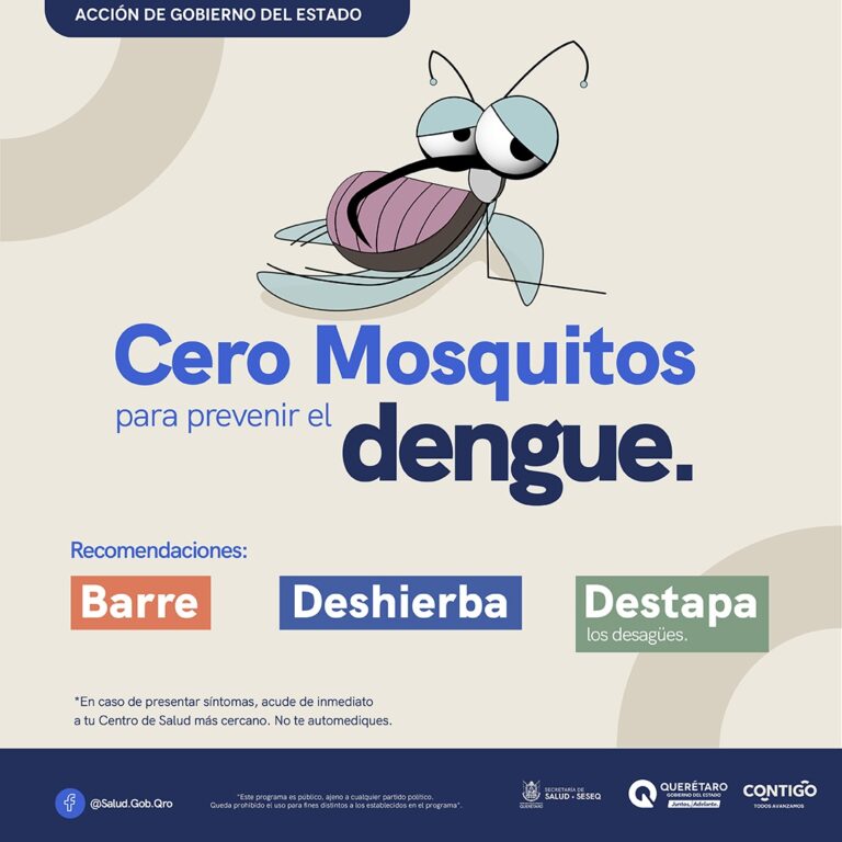 Desarrolla Secretaría de Salud vigilancia epidemiológica del dengue