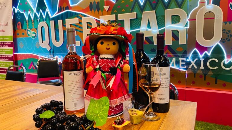 Anuncian la fiesta de la Vendimia Donato 2025