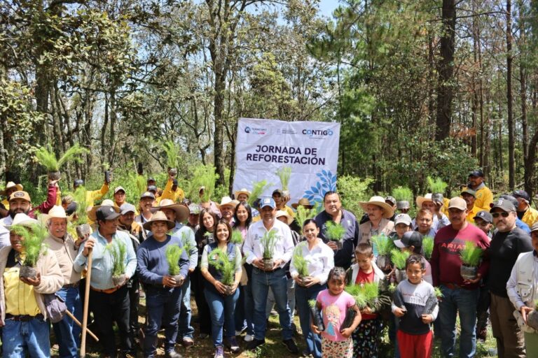 Suman casi 200 mil árboles en reforestación para el Estado: SEDEA