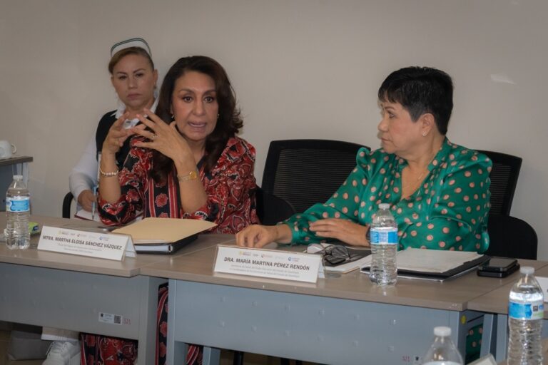 Sesiona Comité Interinstitucional de Planificación y Seguimiento de la Semana Nacional de Salud Pública