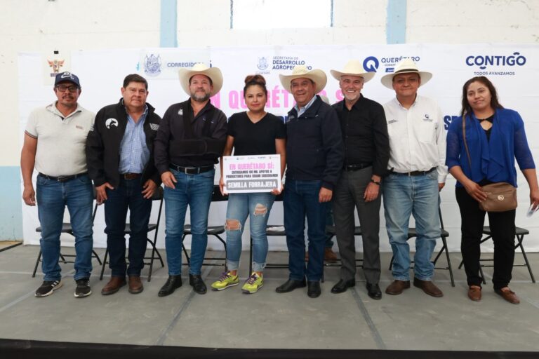 Fortalece SEDEA con semilla a cultivos forrajeros en Corregidora
